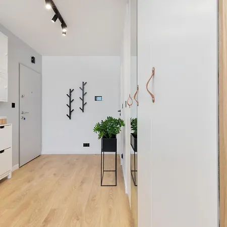 Butterfly With Parking By Renters