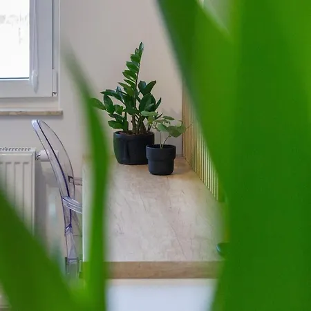 Butterfly With Parking By Renters *