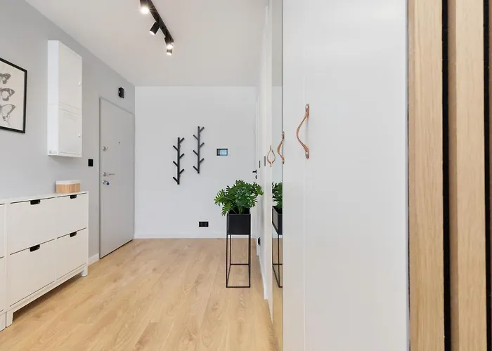 Butterfly With Parking By Renters