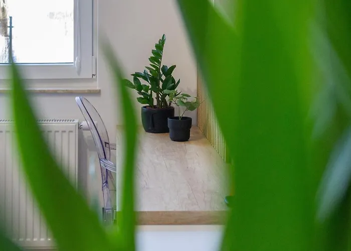 Butterfly With Parking By Renters *